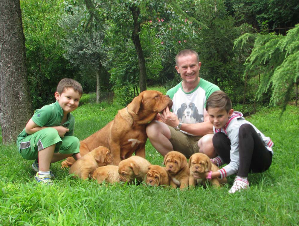 Cuccioli Dogue De Bordeaux