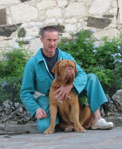 Dogue De Bordeaux