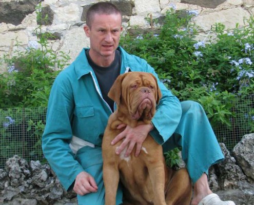 Dogue De Bordeaux